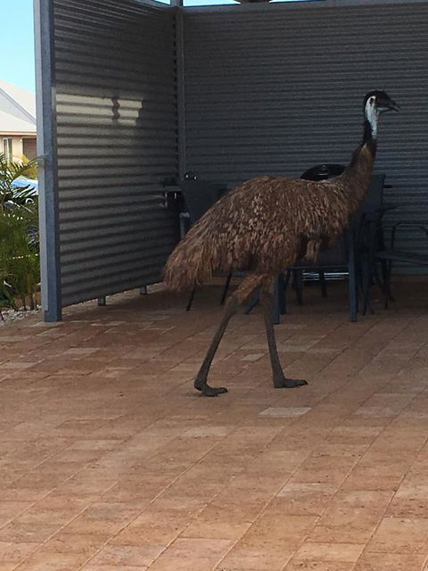 Exmouth 4 Escape - Accommodation Kalgoorlie 23