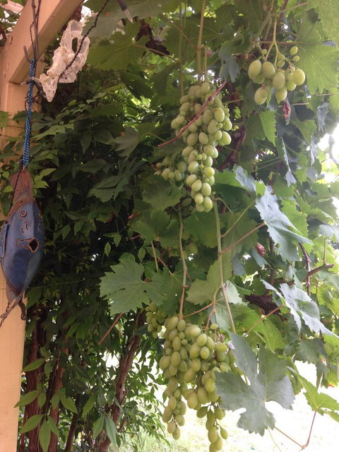 Bright & Beautiful Home On The Hills! - Accommodation Kalgoorlie 30