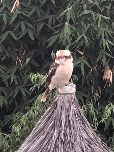 Bright & Beautiful Home On The Hills! - Accommodation Kalgoorlie 27