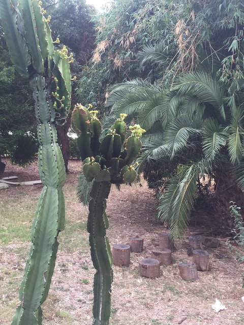 Bright & Beautiful Home On The Hills! - Accommodation Kalgoorlie 29