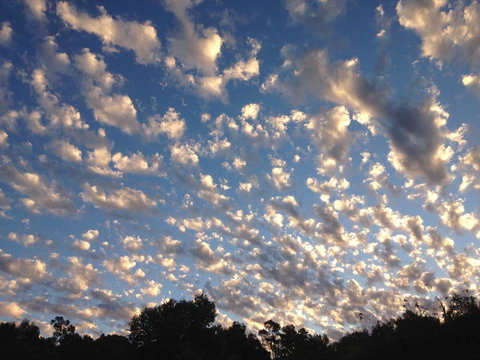 Bright & Beautiful Home On The Hills! - Accommodation Kalgoorlie 32