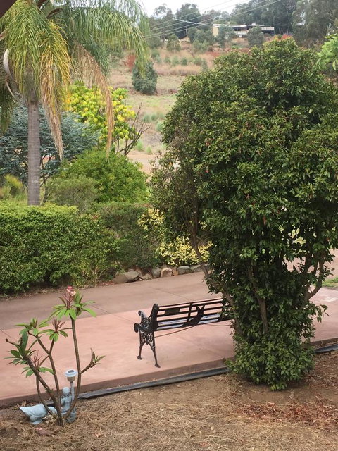 Bright & Beautiful Home On The Hills! - Accommodation Kalgoorlie 28