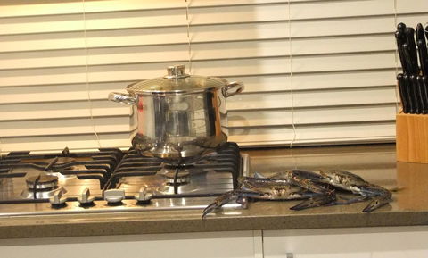 South Yunderup Holiday Rental - Accommodation Kalgoorlie 12