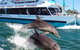 Mandurah Coastal Holiday Park - thumb 0