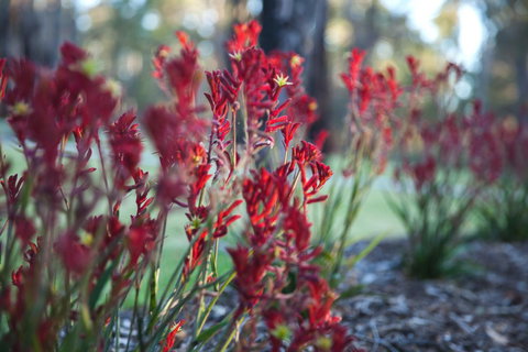 Amaroo Retreat & Spa - Accommodation Kalgoorlie 16