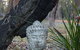 Amaroo Retreat & Spa - thumb 17