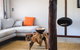 Amaroo Retreat & Spa - thumb 12