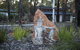 Amaroo Retreat & Spa - thumb 18