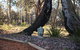 Amaroo Retreat & Spa - thumb 13
