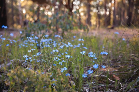 Amaroo Retreat & Spa - Accommodation Kalgoorlie 15