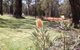 Amaroo Retreat & Spa - thumb 19