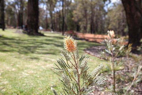 Amaroo Retreat & Spa - Accommodation Kalgoorlie 19