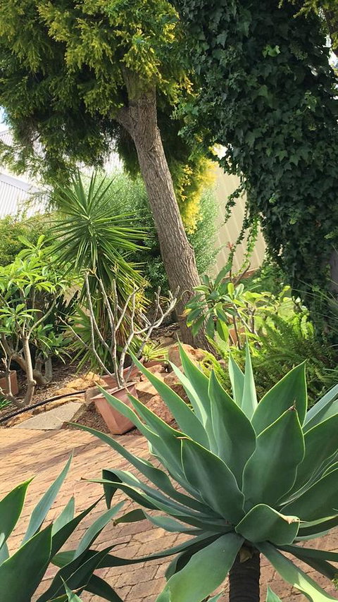 Armadale Cottage Bed & Breakfast - Accommodation Kalgoorlie 1