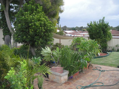 Armadale Cottage Bed & Breakfast - Accommodation Kalgoorlie 39