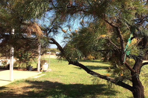Ocean View Homestead - Accommodation Kalgoorlie 23