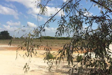 Ocean View Homestead - Accommodation Kalgoorlie 16