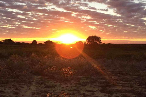 Ocean View Homestead - Accommodation Kalgoorlie 11