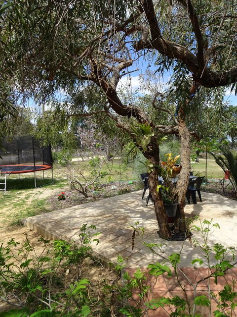 Majestichomestead B&B - Accommodation Kalgoorlie 7