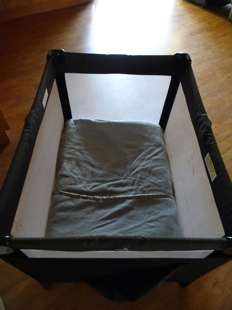 Majestichomestead B&B - Accommodation Kalgoorlie 39