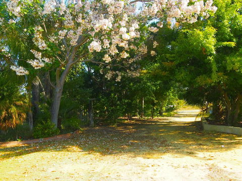 Majestichomestead B&B - Accommodation Kalgoorlie 33