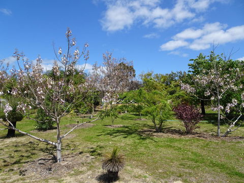 Majestichomestead B&B - Accommodation Kalgoorlie 27