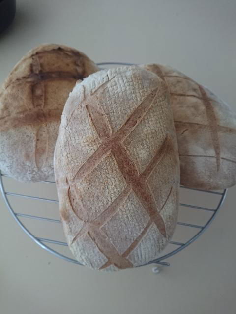 Margaret River Retreat - Accommodation Kalgoorlie 1