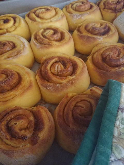 Margaret River Retreat - Accommodation Kalgoorlie 3