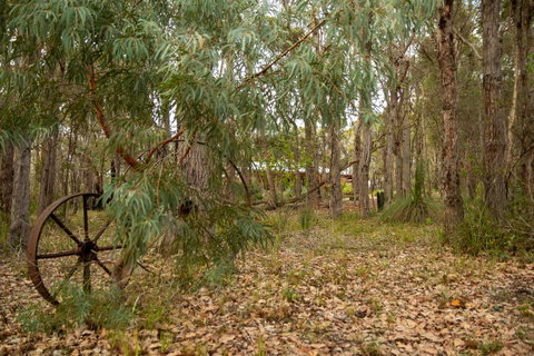 Denmark Forest Retreat - Accommodation Kalgoorlie 5