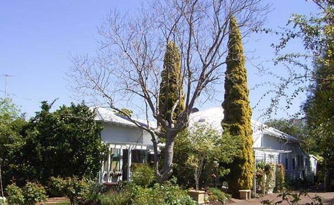 Jacaranda Guest House - Accommodation Kalgoorlie 37