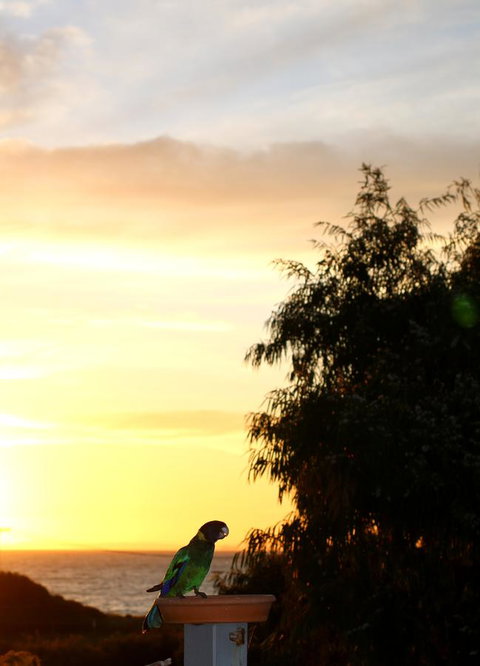 Peppy Beach Ocean Views - Accommodation Kalgoorlie 12