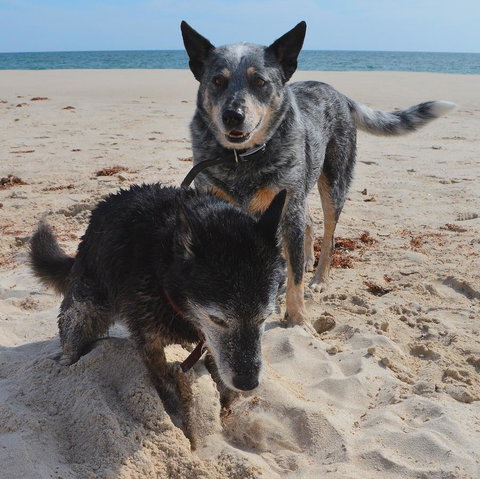 Peppy Beach Ocean Views - Accommodation Kalgoorlie 10