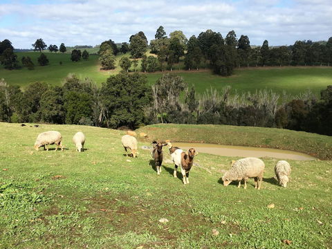 Balingup Highview Chalets - Accommodation Kalgoorlie 36