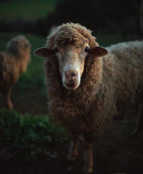 Balingup Highview Chalets - Accommodation Kalgoorlie 17