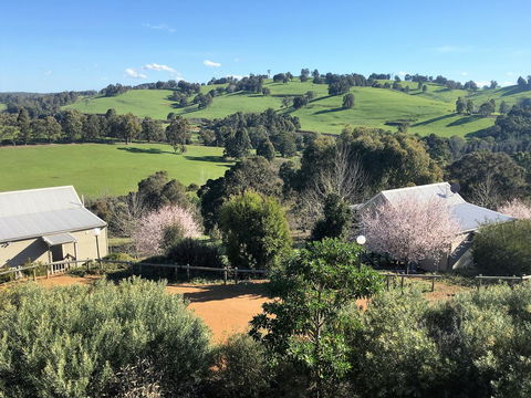 Balingup Highview Chalets - Accommodation Kalgoorlie 5