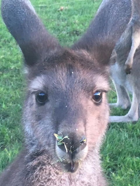 Balingup Highview Chalets - Accommodation Kalgoorlie 22