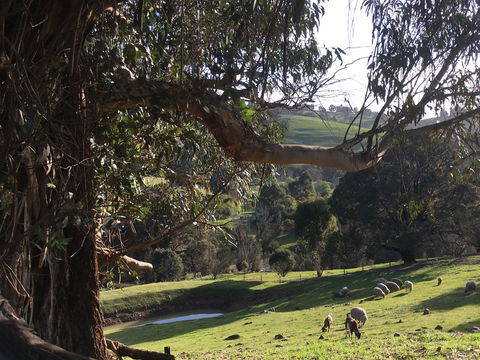 Balingup Highview Chalets - Accommodation Kalgoorlie 13