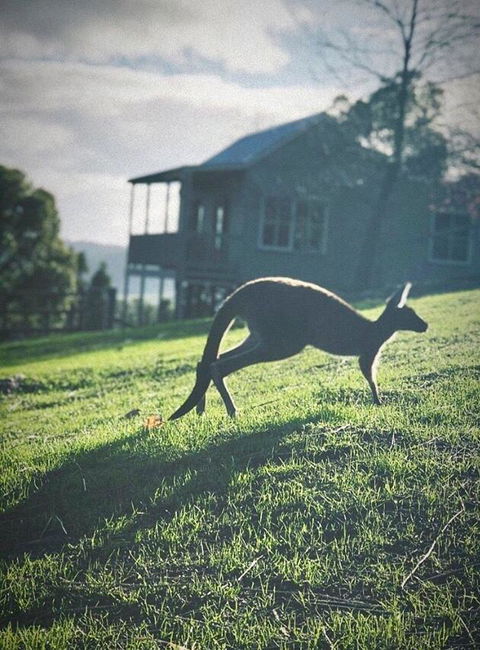 Balingup Highview Chalets - Accommodation Kalgoorlie 10