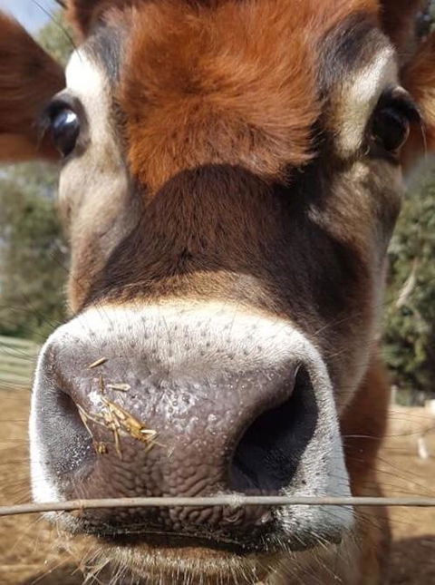 Balingup Highview Chalets - Accommodation Kalgoorlie 14