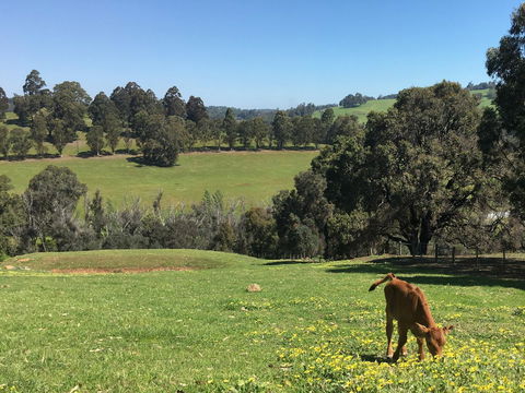 Balingup Highview Chalets - Accommodation Kalgoorlie 23