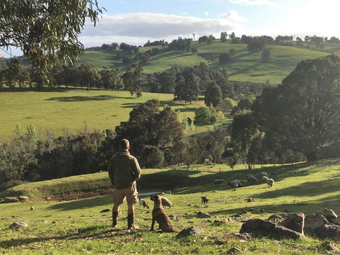 Balingup Highview Chalets - Accommodation Kalgoorlie 27