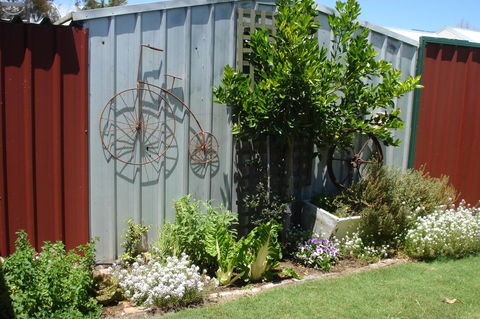 Bluebird Cottage - Accommodation Kalgoorlie 26