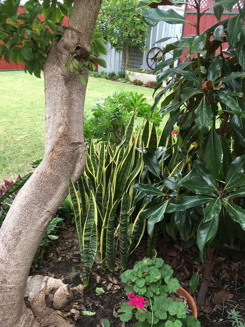 Bluebird Cottage - Accommodation Kalgoorlie 30