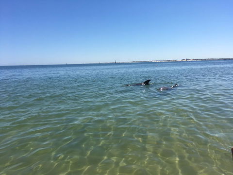 Bluebird Cottage - Accommodation Kalgoorlie 39