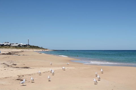 Bluebird Cottage - Accommodation Kalgoorlie 40