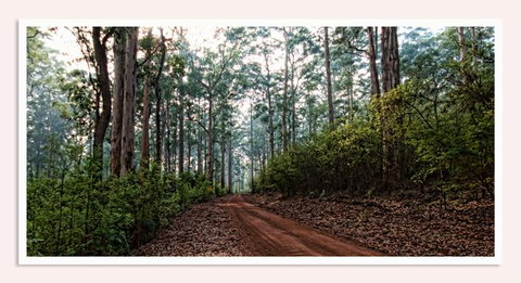Oak Tree Barn Bridgetown - Accommodation Kalgoorlie 14