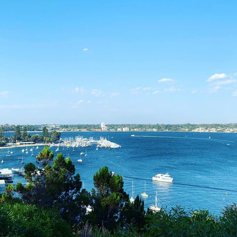 SEA BREEZE â€“ Between Cottesloe Beach & Swan River - Accommodation Kalgoorlie 23