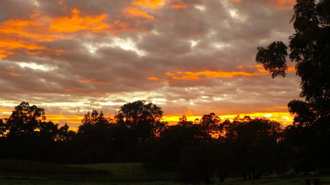 Windfall Estate Vineyard Cottage - Accommodation Kalgoorlie 32