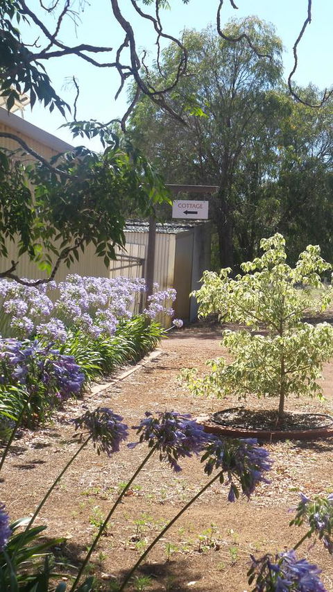 Windfall Estate Vineyard Cottage - Accommodation Kalgoorlie 13