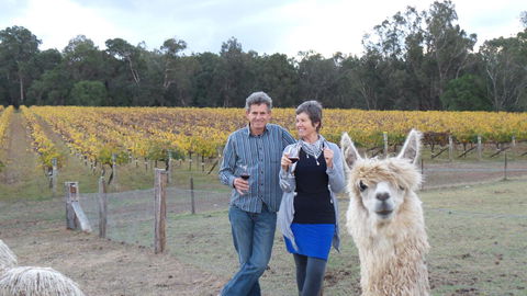Windfall Estate Vineyard Cottage - Accommodation Kalgoorlie 11