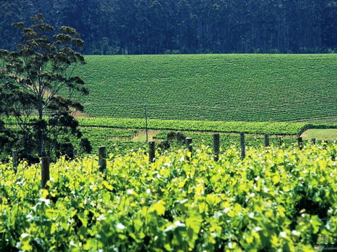 The Pemberton Hotel - Accommodation Kalgoorlie 5